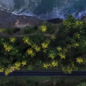 Explore Best of Costa Rica 9 Days Tour for 9 days with GUIDEcuador Travel and discover unforgettable experiences - Photo 5