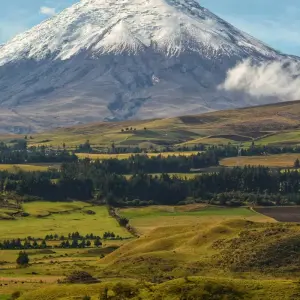 Explore South American Encounters 19 Day Tour for 19 days with GUIDEcuador Travel and discover unforgettable experiences - Photo 6