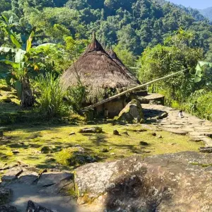 Explore Lost City Trek Colombia 4 Days Tour for 4 days with GUIDEcuador Travel and discover unforgettable experiences - Photo 10