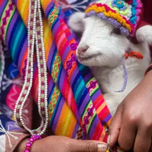 Explore South American Encounters 19 Day Tour for 19 days with GUIDEcuador Travel and discover unforgettable experiences - Photo 9