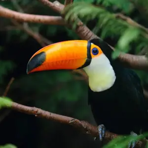 Explore Best of Costa Rica 9 Days Tour for 9 days with GUIDEcuador Travel and discover unforgettable experiences - Photo 10