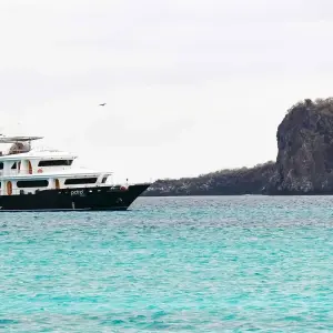 Explore Guide Galapagos Luxury Cruise 9 Days Tour for 9 days with GUIDEcuador Travel and discover unforgettable experiences - Photo 5