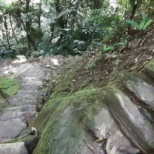 Explore Lost City Trek & Cartagena 8 Days for 8 days with GUIDEcuador Travel and discover unforgettable experiences - Photo 5