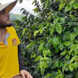 Explore Colombia & Galapagos Express 13 Days Tour for 13 days with GUIDEcuador Travel and discover unforgettable experiences - Photo 4