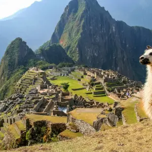 Explore Colombia, Ecuador & Peru Express 22 Days Tour for 22 days with GUIDEcuador Travel and discover unforgettable experiences - Photo 9