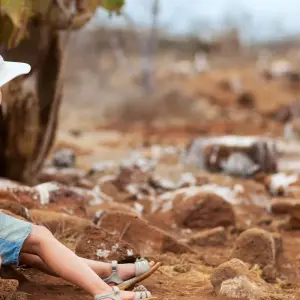 Explore Galapagos Express 6 Days Tour for 6 days with GUIDEcuador Travel and discover unforgettable experiences - Photo 4