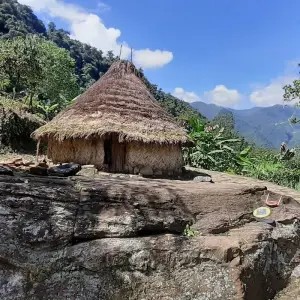 Explore Lost City Trek & Cartagena 8 Days for 8 days with GUIDEcuador Travel and discover unforgettable experiences - Photo 6