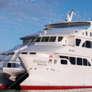 Explore Eco Galaxy II First Class Catamaran 6 Days for 6 days with GUIDEcuador Travel and discover unforgettable experiences - Photo 2