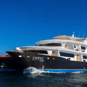 Explore Guide Galapagos Luxury Cruise 9 Days Tour for 9 days with GUIDEcuador Travel and discover unforgettable experiences - Photo 11