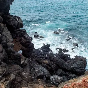 Explore Galapagos Express 6 Days Tour for 6 days with GUIDEcuador Travel and discover unforgettable experiences - Photo 6