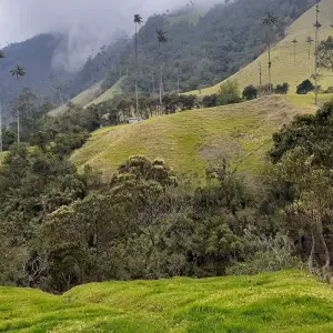 Explore Colombia & Galapagos Express 13 Days Tour for 13 days with GUIDEcuador Travel and discover unforgettable experiences - Photo 7