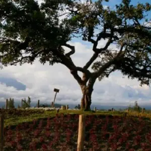 Explore Ecuador Active 8 Days Tour for 8 days with GUIDEcuador Travel and discover unforgettable experiences - Photo 7