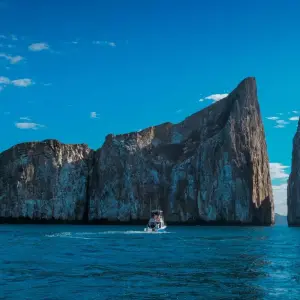 Explore Colombia & Galapagos Express 13 Days Tour for 13 days with GUIDEcuador Travel and discover unforgettable experiences - Photo 11