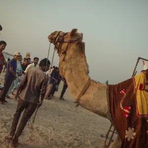 Explore India Encompassed for 28 days with G Adventures and discover unforgettable experiences - Photo 2