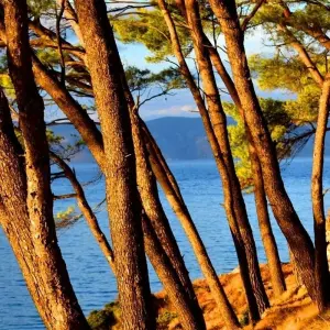 Explore Zagreb to Dubrovnik: Parties & Plitvice Lakes for 7 days with G Adventures and discover unforgettable experiences - Photo 3