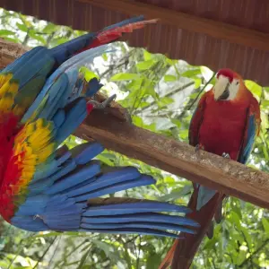 Explore Classic Peru for 12 days with G Adventures and discover unforgettable experiences - Photo 9