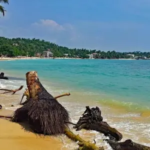 Explore Sri Lanka Land & Sea for 14 days with G Adventures and discover unforgettable experiences - Photo 3