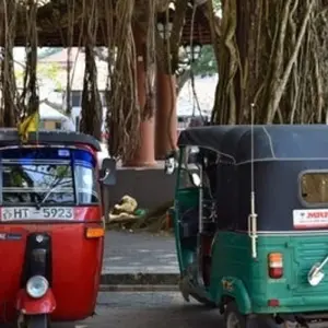 Explore Sri Lanka Land & Sea for 14 days with G Adventures and discover unforgettable experiences - Photo 10