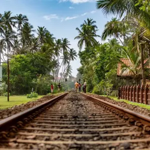 Explore Sri Lanka Land & Sea for 14 days with G Adventures and discover unforgettable experiences - Photo 11