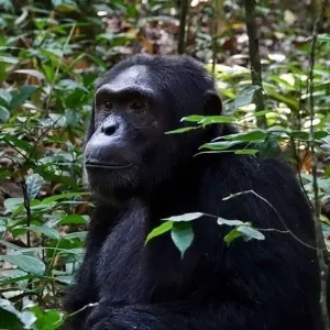 Explore East Africa In-Depth for 16 days with G Adventures and discover unforgettable experiences - Photo 4