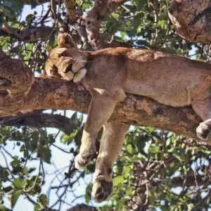 Explore East Africa In-Depth for 16 days with G Adventures and discover unforgettable experiences - Photo 5