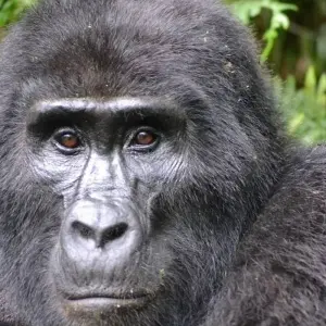 Explore East Africa In-Depth for 16 days with G Adventures and discover unforgettable experiences - Photo 7