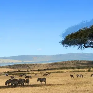 Explore East Africa In-Depth for 16 days with G Adventures and discover unforgettable experiences - Photo 9