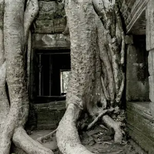 Explore Ancient Angkor Wat Independent Adventure for 3 days with G Adventures and discover unforgettable experiences - Photo 6