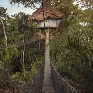 Explore G Lodge Amazon - 5 Day Independent Adventure for 5 days with G Adventures and discover unforgettable experiences - Photo 8