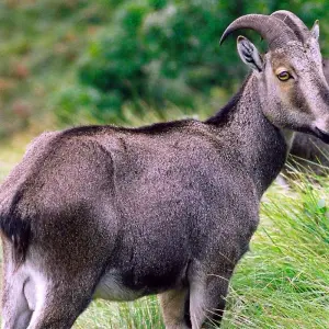 Explore Enchanting Karnataka and Kerala for 13 days with GeTS Holidays and discover unforgettable experiences - Photo 6