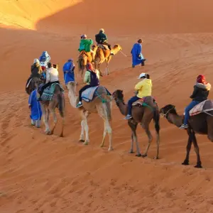 Explore Treasures of Rajasthan with Varanasi for 15 days with GeTS Holidays and discover unforgettable experiences - Photo 5