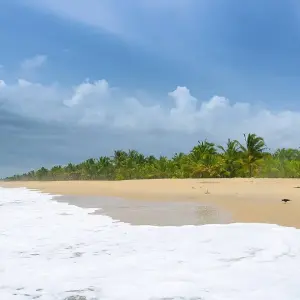 Explore Spiritual Tamilnadu with Enchanting Kerala for 14 days with GeTS Holidays and discover unforgettable experiences - Photo 7