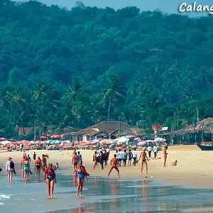 Explore Super Saver Golden Triangle Tour with Goa for 10 days with GeTS Holidays and discover unforgettable experiences - Photo 11