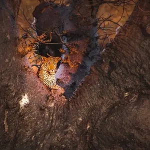 Explore 5 Days Serengeti Migration Safari for 5 days with Gecko Adventure and discover unforgettable experiences - Photo 5