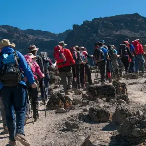 Explore Climb Kilimanjaro Via Lemosho Route 8 Days for 8 days with Gecko Adventure and discover unforgettable experiences - Photo 3