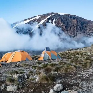 Explore Climb Kilimanjaro Via Lemosho Route 8 Days for 8 days with Gecko Adventure and discover unforgettable experiences - Photo 5