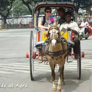 Explore Luxury Golden Triangle Tour with Ranthambore for 8 days with GeTS Holidays and discover unforgettable experiences - Photo 3