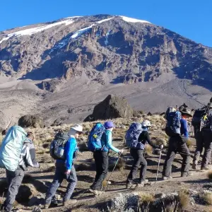Explore Climb Kilimanjaro Via Lemosho Route 8 Days for 8 days with Gecko Adventure and discover unforgettable experiences - Photo 6