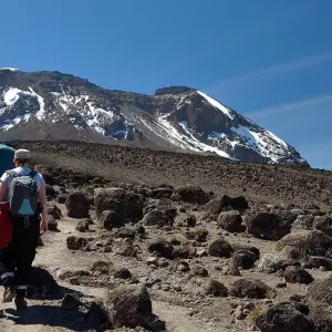 Explore Climb Kilimanjaro Via Marangu Route 5 Days for 5 days with Gecko Adventure and discover unforgettable experiences - Photo 5