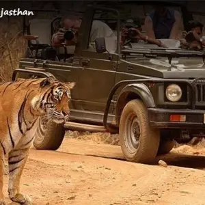 Explore Luxury Golden Triangle Tour with Ranthambore for 8 days with GeTS Holidays and discover unforgettable experiences - Photo 11