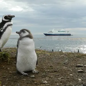 Argentina and Chile ─ The Myth of Cape Horn - 16 days with Gebeco - Photo 5 Explore Argentina and Chile ─ The Myth of Cape Horn for 16 days with Gebeco and discover unforgettable experiences - Photo 5