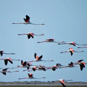 Explore Natural Treasures in Southern Africa for 18 days with Gebeco and discover unforgettable experiences - Photo 5