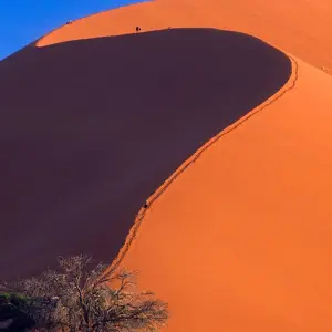 Explore Natural Treasures in Southern Africa for 18 days with Gebeco and discover unforgettable experiences - Photo 6