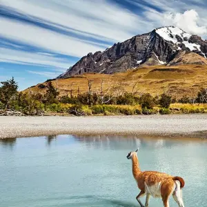 Get to Know Argentina and Chile - 13 days with Gebeco - Photo 3 Explore Get to Know Argentina and Chile for 13 days with Gebeco and discover unforgettable experiences - Photo 3