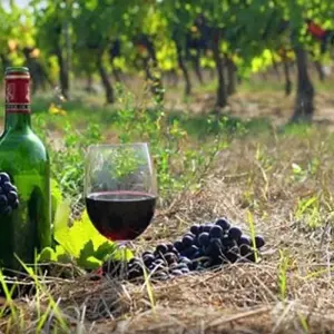 Explore 6 Day Explore Georgia Along the Great Silk Road for 6 days with Georgian Holidays LLC and discover unforgettable experiences - Photo 5