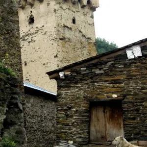 Explore 4 Day Samegrelo-Zemo Svaneti Small Group Rural Tour for 4 days with Georgian Holidays LLC and discover unforgettable experiences - Photo 6