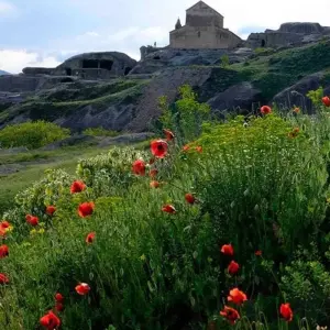 Explore 7 Day Visit Georgia for 7 days with Georgian Holidays LLC and discover unforgettable experiences - Photo 7