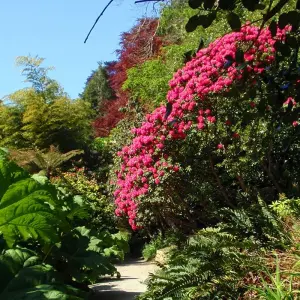 Explore Central England ─ Cottage parks and Landscaped Gardens for 8 days with Gebeco and discover unforgettable experiences - Photo 2