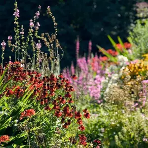 Explore Central England ─ Cottage parks and Landscaped Gardens for 8 days with Gebeco and discover unforgettable experiences - Photo 6