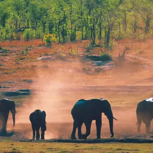 Explore Tanzania and Zanzibar for 14 days with Gebeco and discover unforgettable experiences - Photo 2